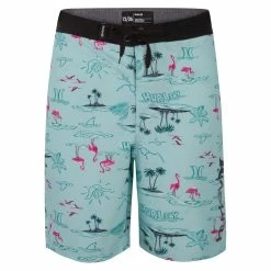 Best reviews of π€© kids Hurley Flamingo Board Short π
